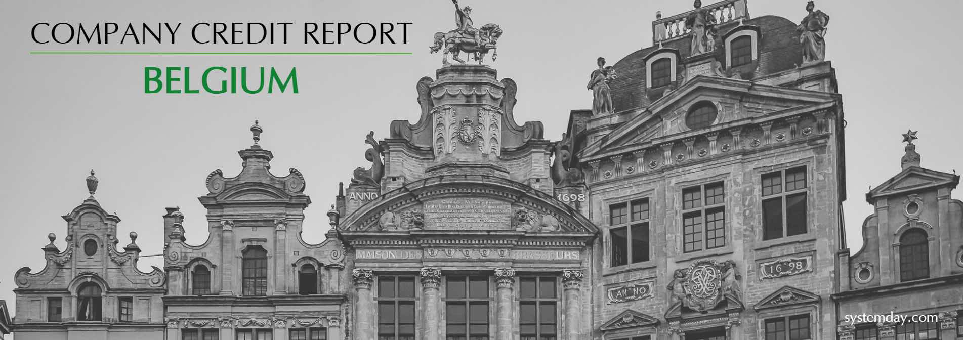 Belgium Company Credit Report