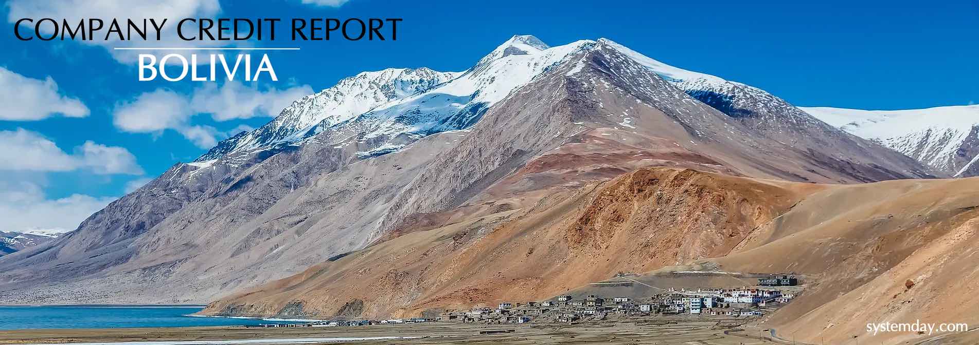 Bolivia Company Credit Report