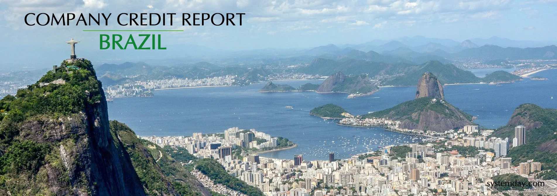 Brazil Company Credit Report