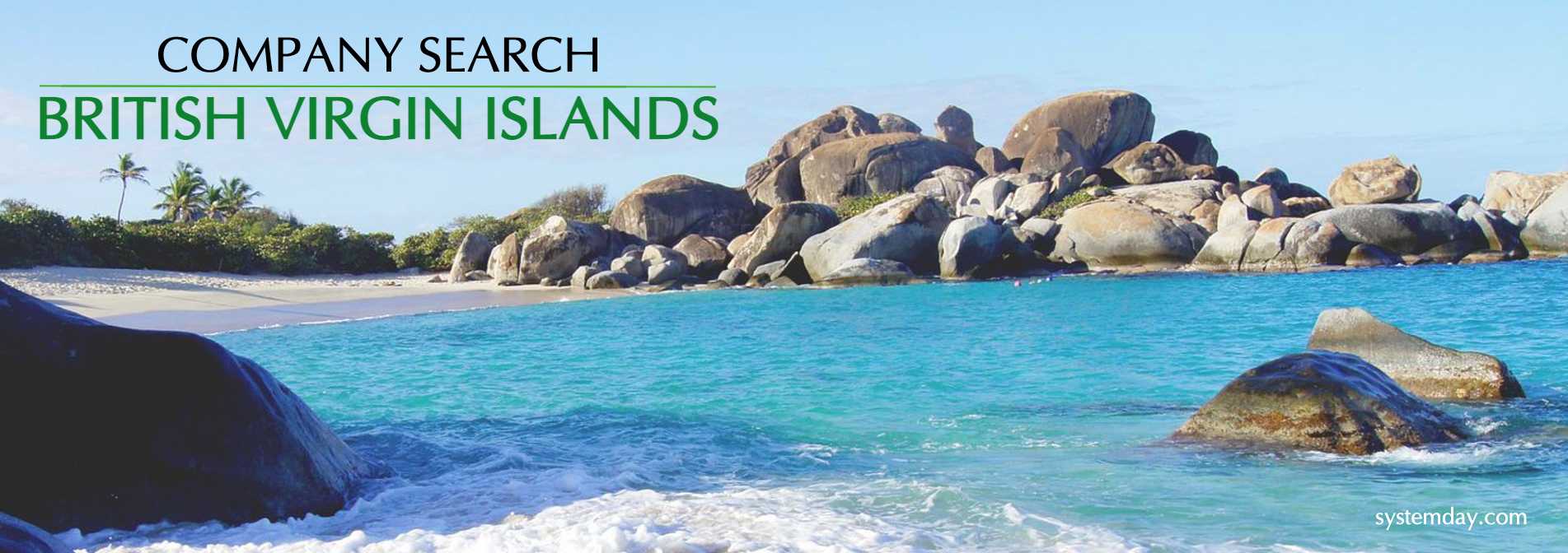 BVI Company Search