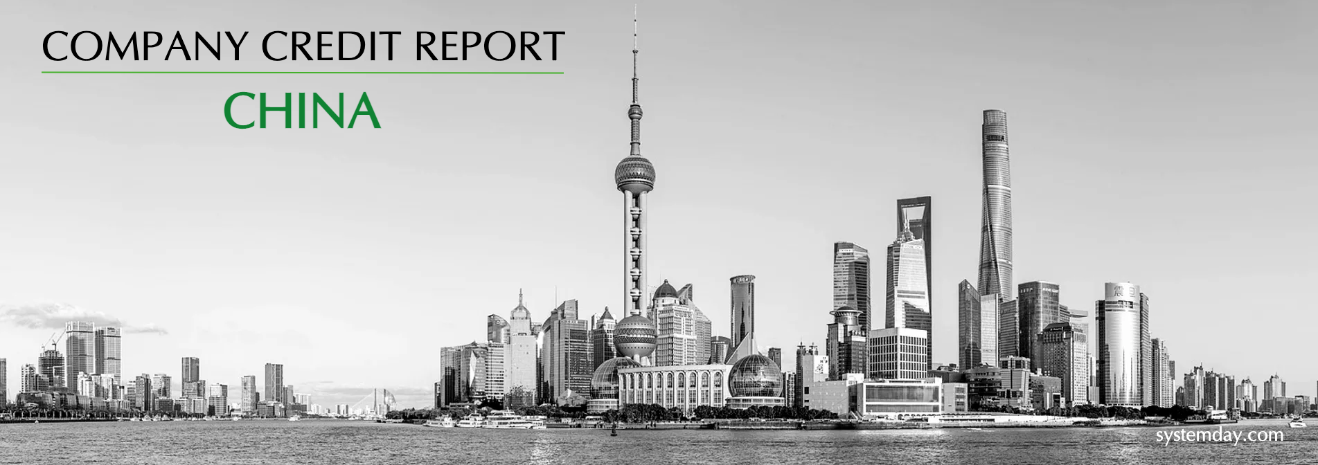 China Company Credit Report