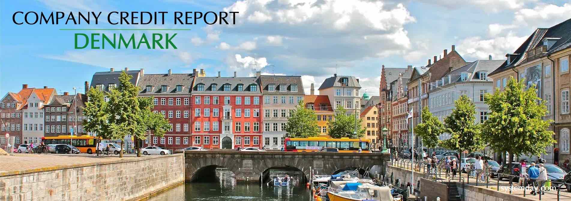 Denmark Company Credit Report