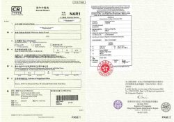 Annual-return-apostille
