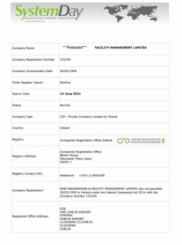 Ireland Company Documents