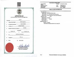 Belize Registry Search Extract Apostille