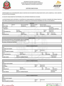 Brazil Certificate of Good Standing