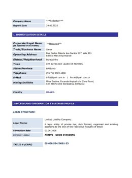 Brazil Company Search Example