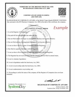 Certificate of Good Standing BVI example
