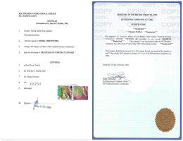 BVI Certificate of Strike Off Apostilled