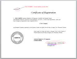 Cayman Islands Company Documents