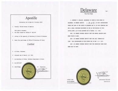 Delaware Certificate of Good Standing Apostille