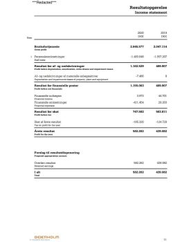 Denmark Company Accounts