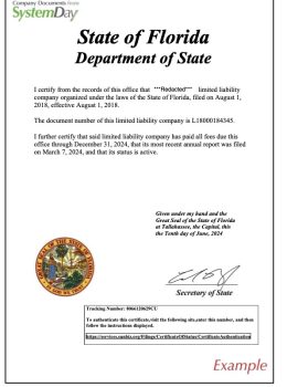 Certificate of Good Standing example