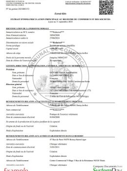 Certificate of Good Standing France example