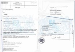 Germany Certificate of Good Standing Apostille