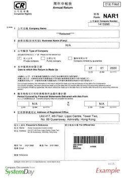 Hong Kong Annual Return