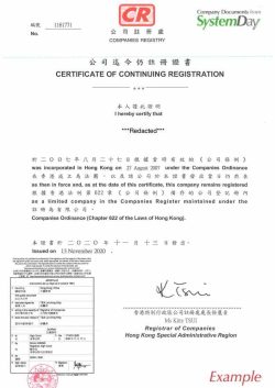 Hong Kong Certificate of good standing apostille