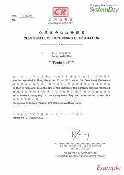 Certificate of Good Standing Hong Kong example