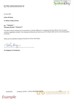 Certificate of Good Standing Ireland example