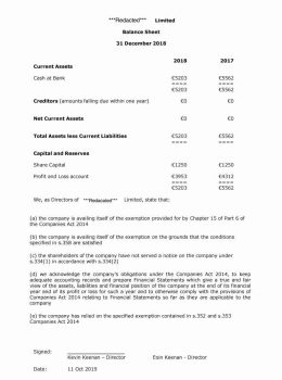 Ireland Company Accounts