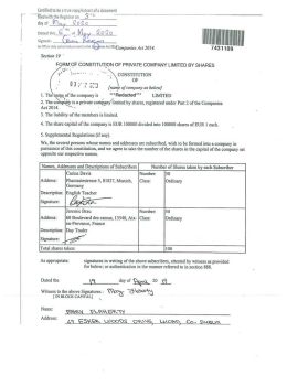 Ireland Company Constitution