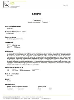 Luxembourg Company Extract