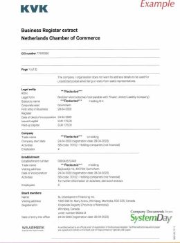 Certificate of Good Standing Netherlands example