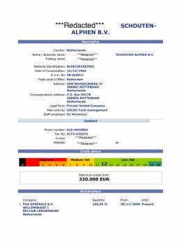 Netherlands Company Credit Report