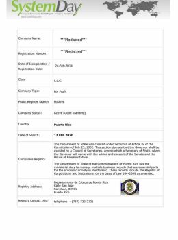 Puerto Rico Company Search
