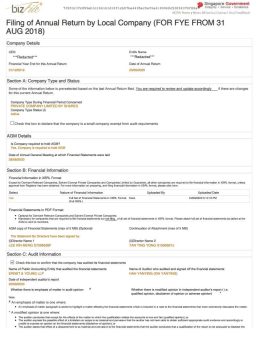 Singapore Annual Return