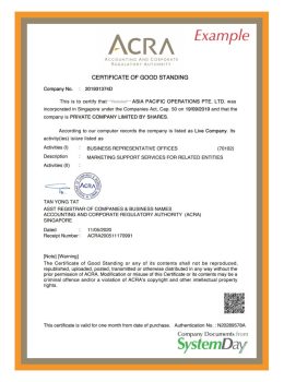 Certificate of Good Standing Singapore example