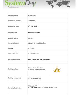 St Vincent Company Search