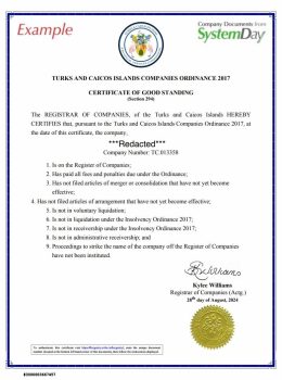 Certificate of Good Standing Turks and Caicos example