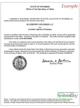 Certificate of Good Standing Wyoming example