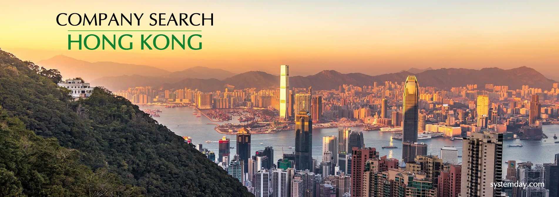 Hong Kong Company Search