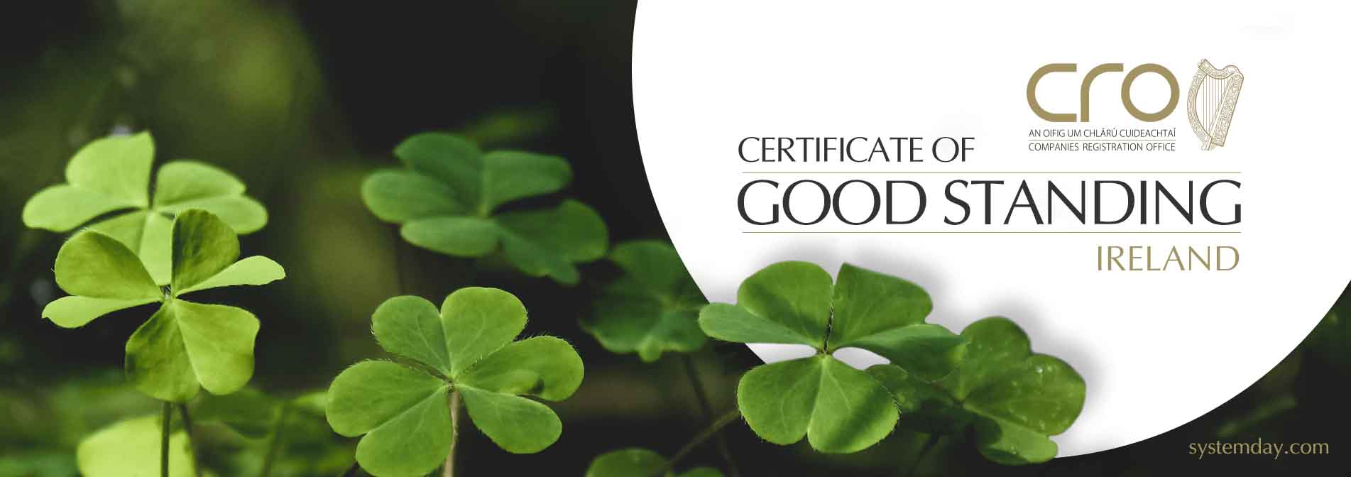 Ireland Certificate of Good Standing