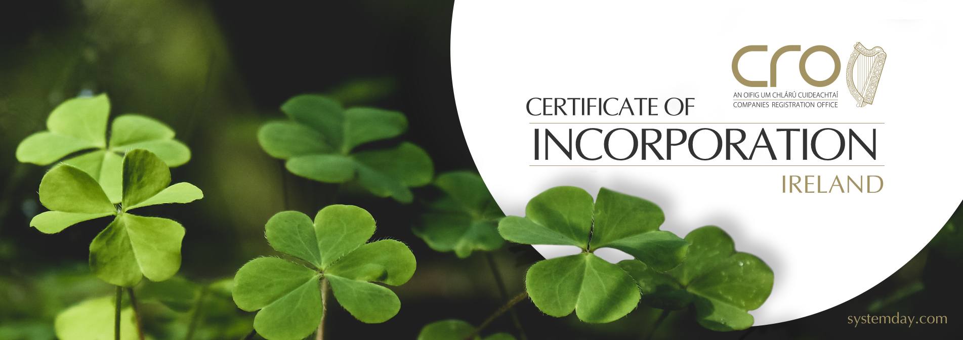 Ireland Certificate of Incorporation