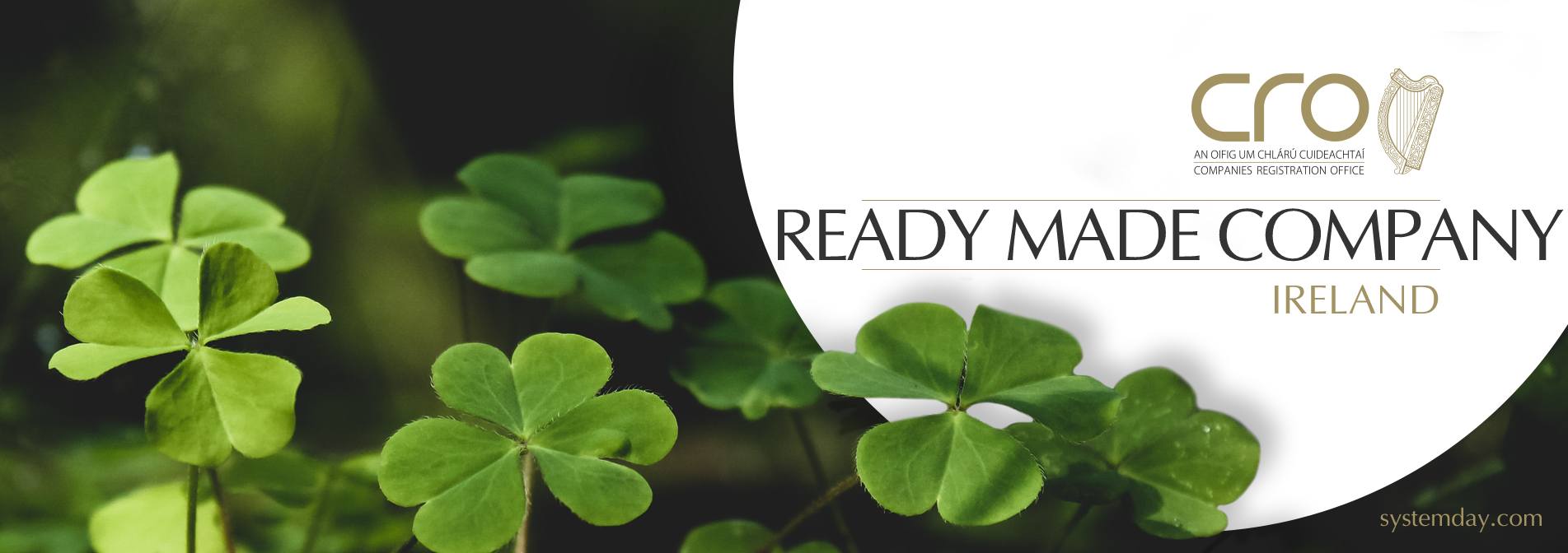Ireland Ready Made Company