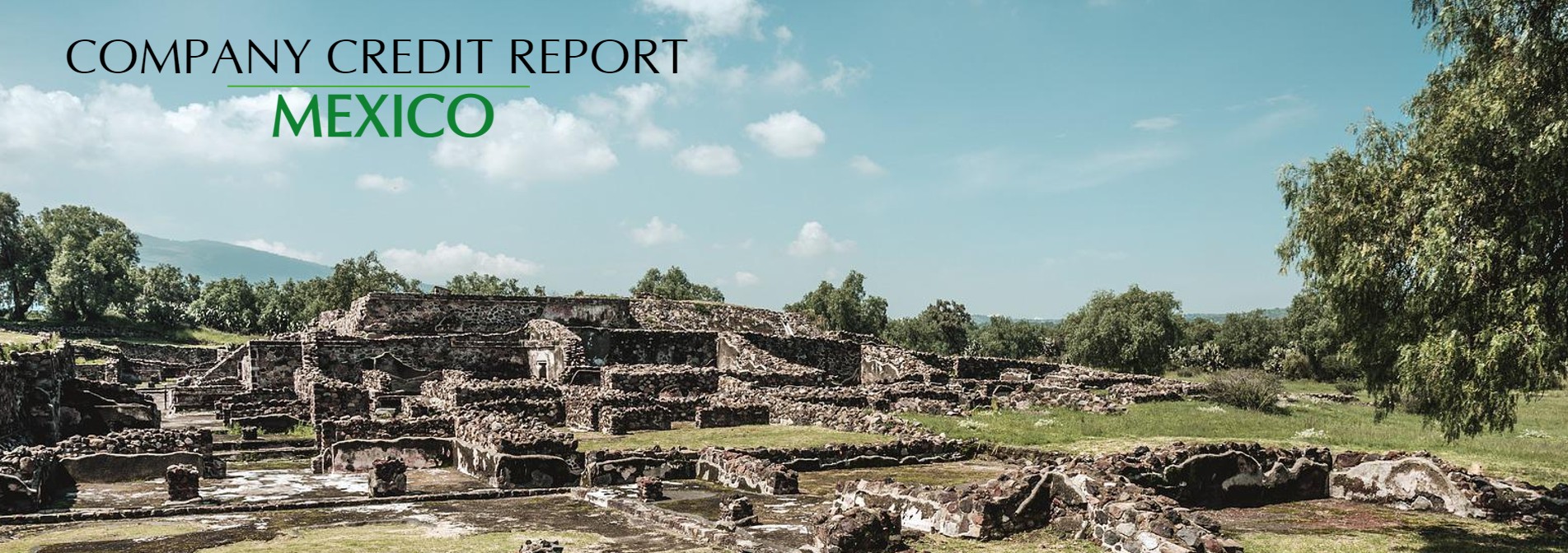 Mexico Company Credit Report