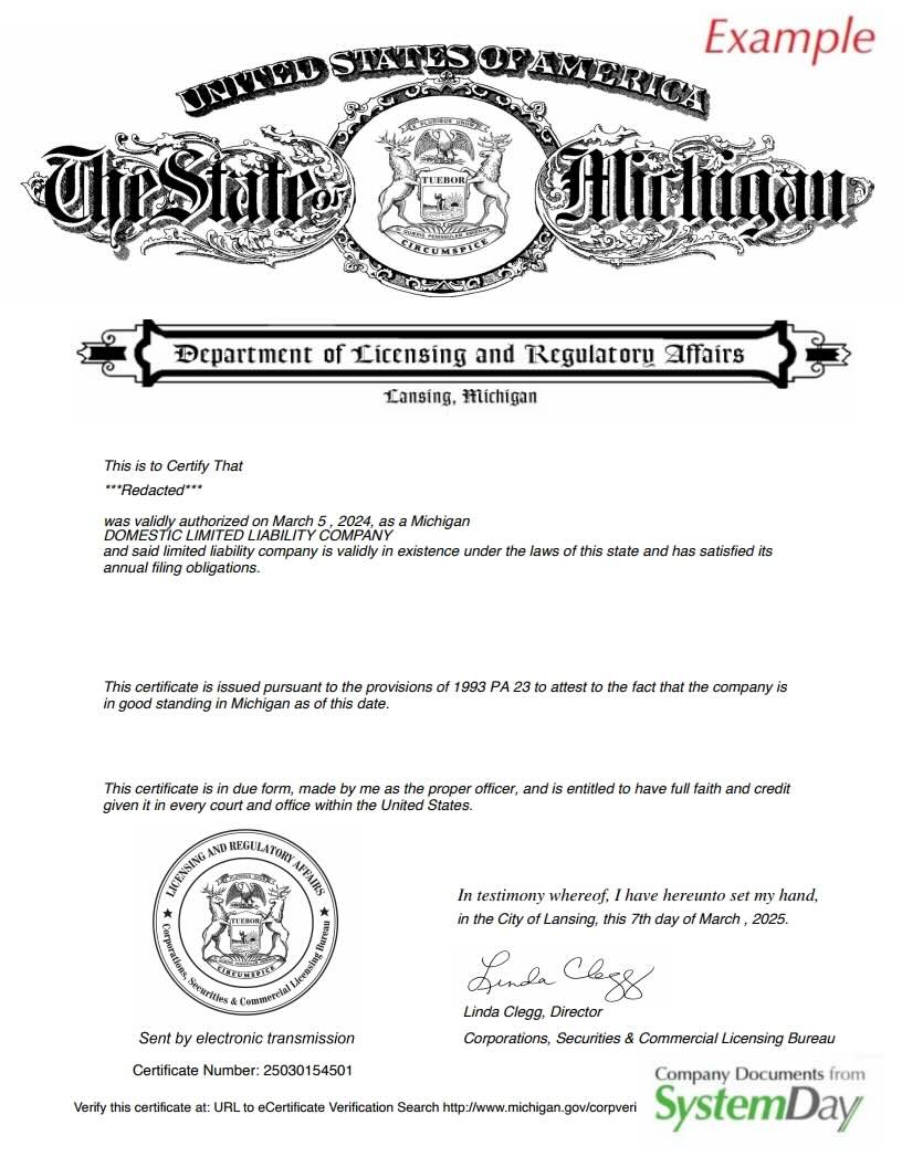 Certificate of Good Standing Michigan example