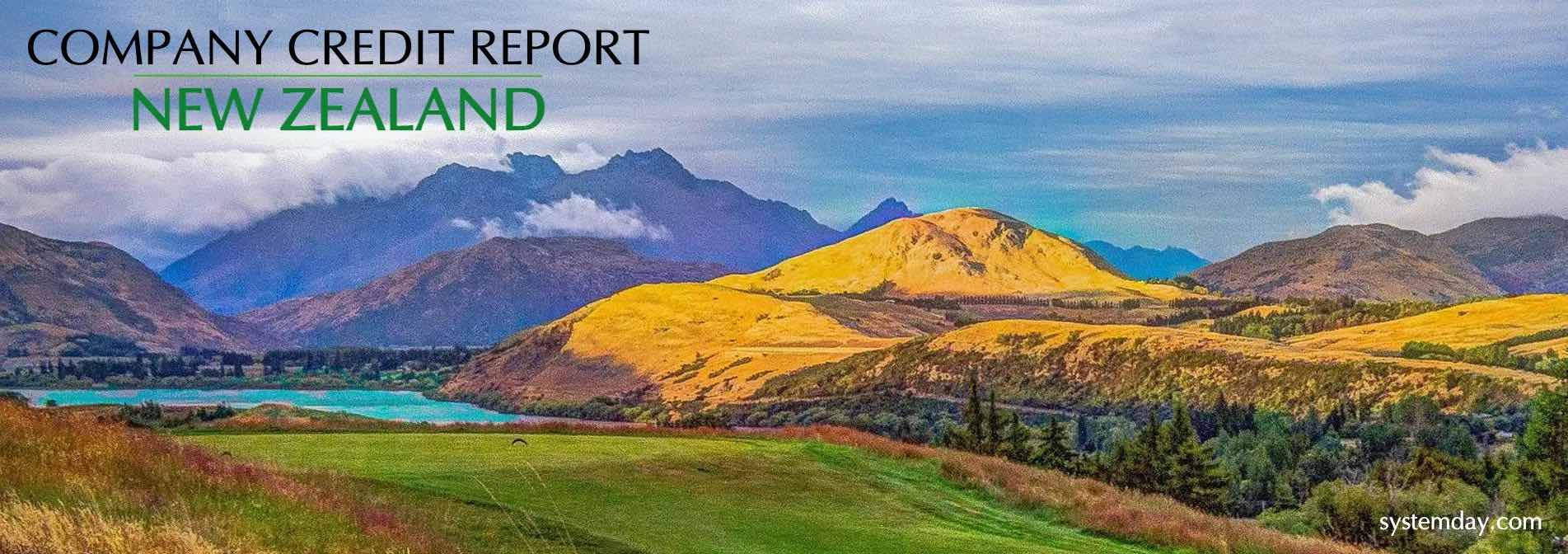 New Zealand Company Credit Report