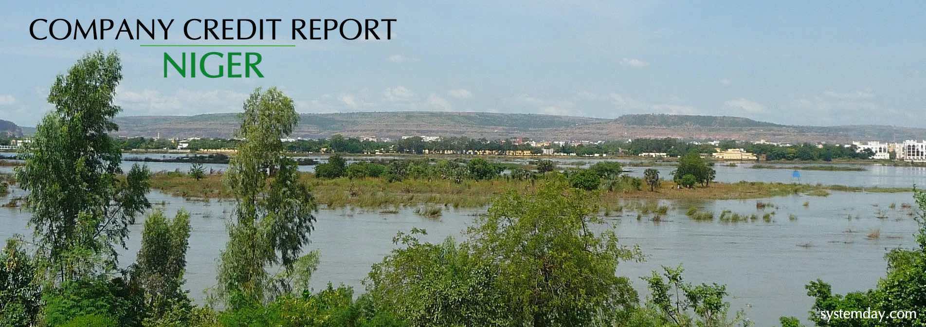 Niger Company Credit Report