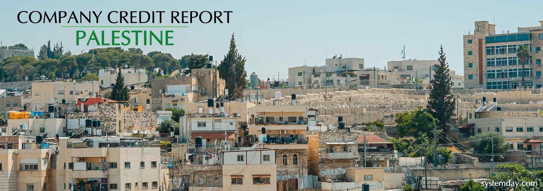 Palestine Company Credit Report