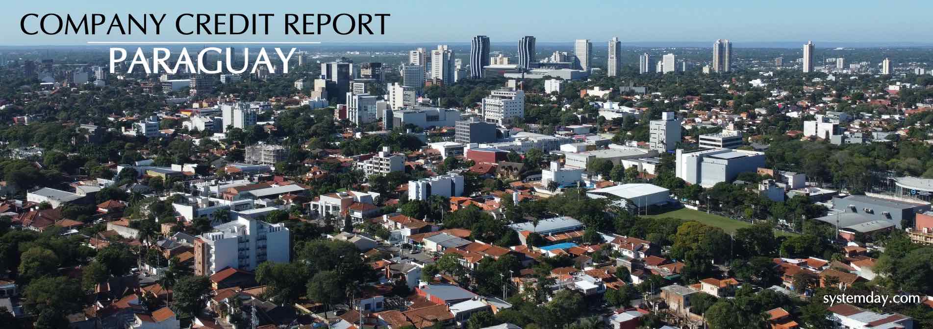 Paraguay Company Credit Report