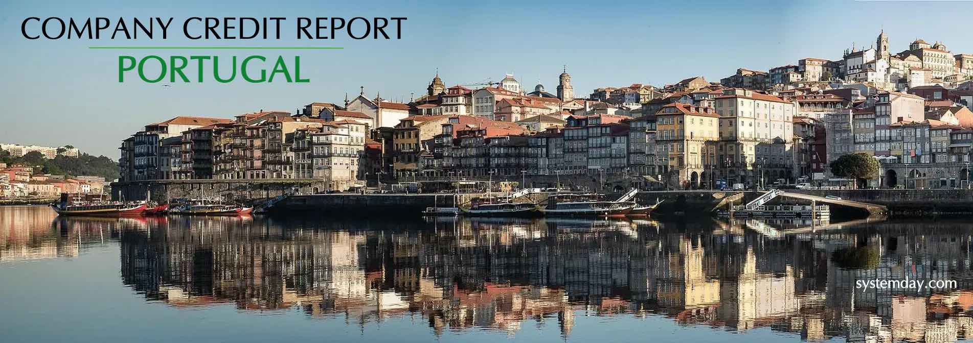Portugal Company Credit Report
