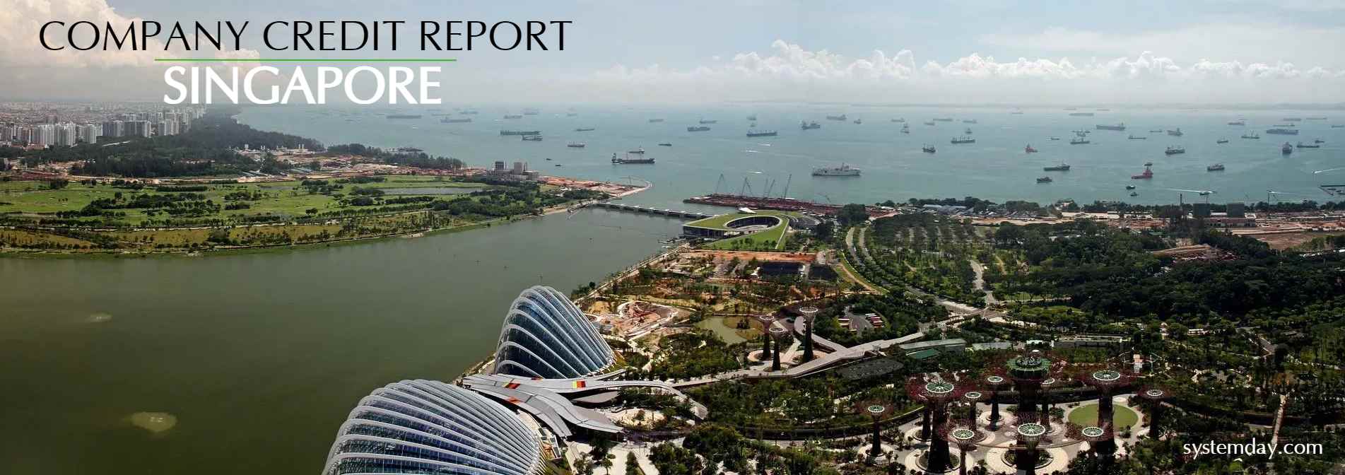 Singapore Company Credit Report