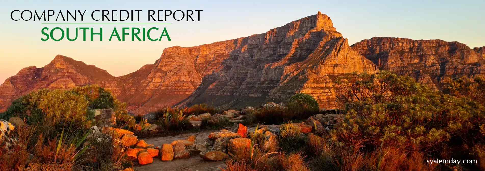 South Africa Company Credit Report