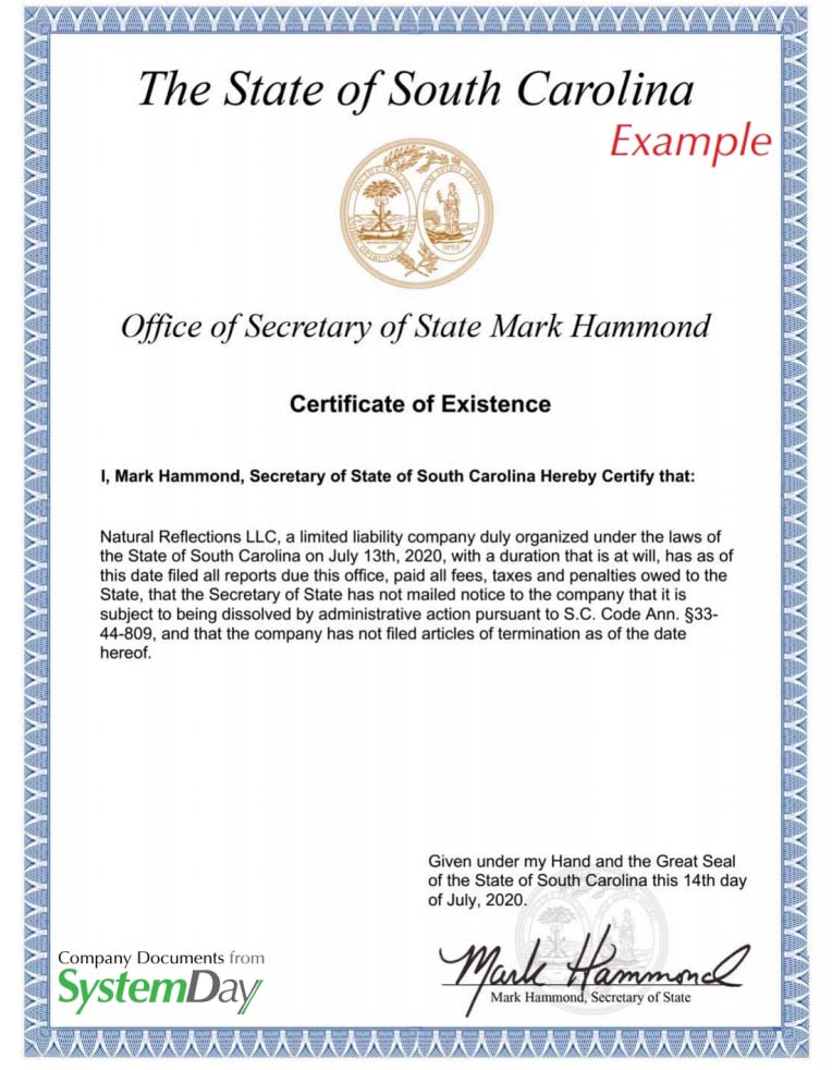 Certificate of Good Standing South Carolina example