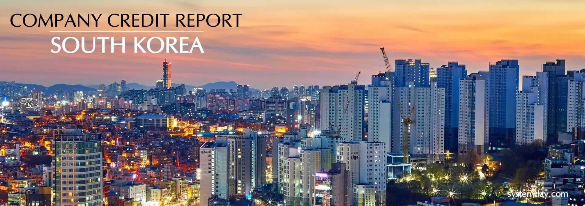 South Korea Company Credit Report