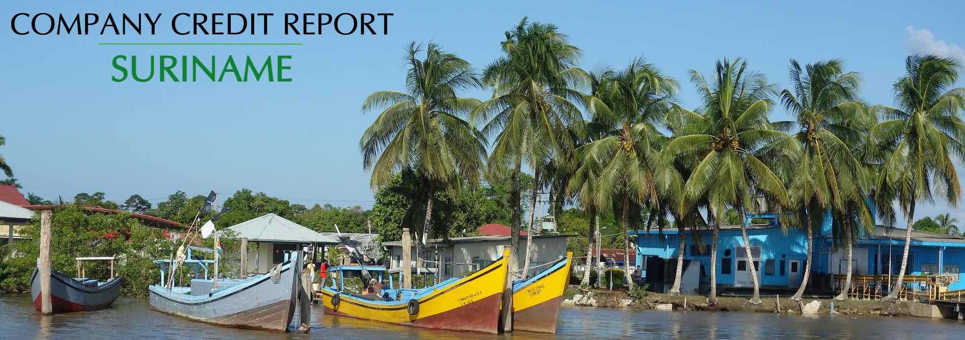 Suriname Company Credit Report